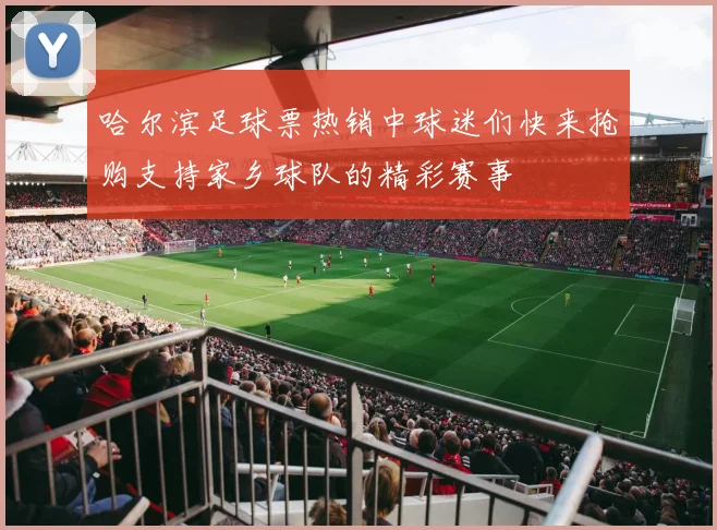 哈尔滨足球票热销中球迷们快来抢购支持家乡球队的精彩赛事