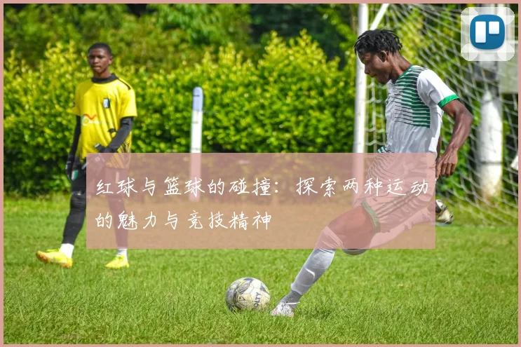 红球与篮球的碰撞：探索两种运动的魅力与竞技精神