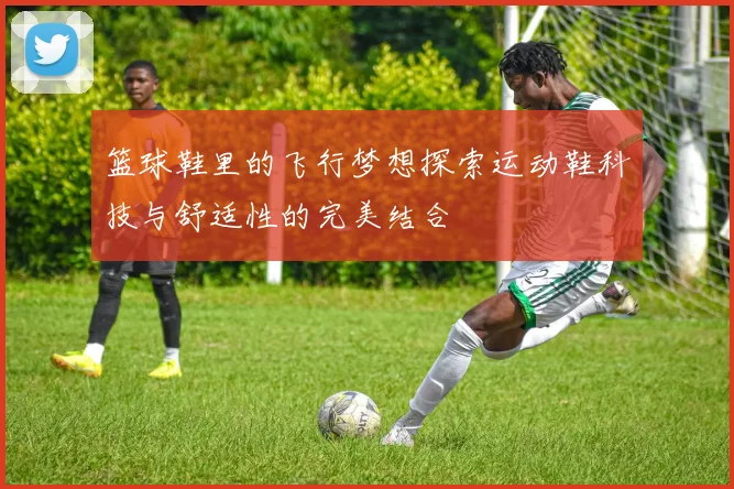 篮球鞋里的飞行梦想探索运动鞋科技与舒适性的完美结合