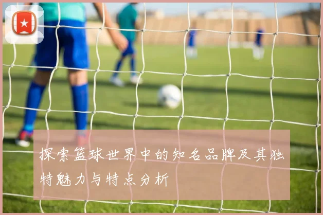 探索篮球世界中的知名品牌及其独特魅力与特点分析